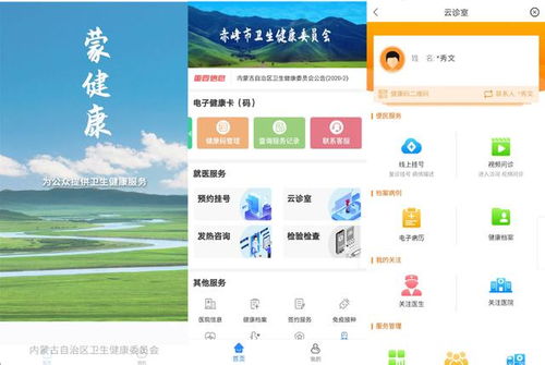 榜樣的力量 內蒙古自治區互聯網醫療服務系統在新冠戰疫中的數據驅動實踐