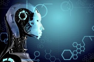 移動(dòng)互聯(lián)網(wǎng)技術(shù) 驅(qū)動(dòng)創(chuàng)新的引擎與網(wǎng)絡(luò)安全的守護(hù)者